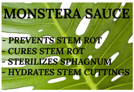 Monstera Sauce Cutting Health Spray - prevents and cures rot